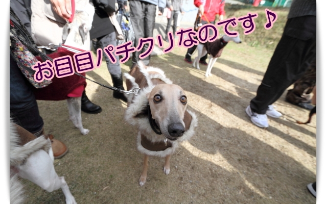 e0100007_2291257.jpg