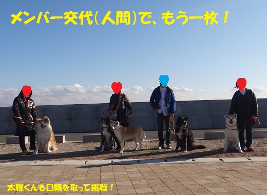 懐かしい５秋田犬でお散歩しました（その１）♪_f0121712_8313887.jpg