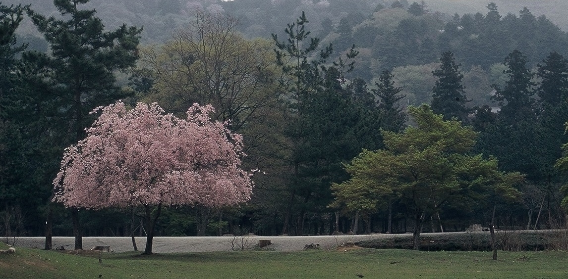 a0332314_07212637.jpg