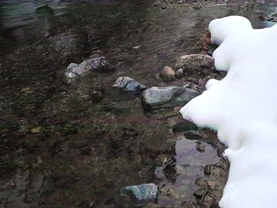 曇り、現在の積雪48cm　　　朽木小川・気象台より_c0044819_727954.jpg