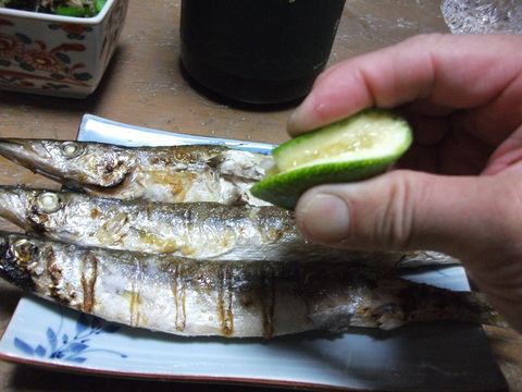 a0279321_1542174.jpg