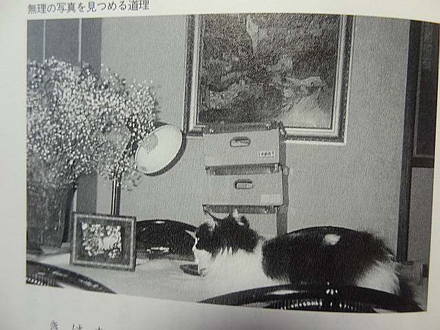 e0016828_9432873.jpg