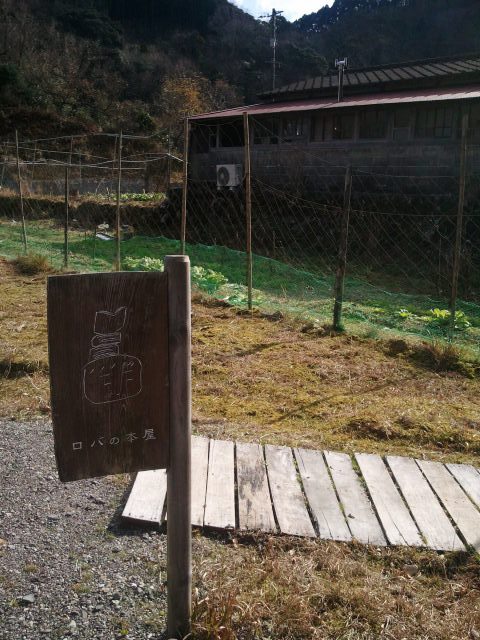 c0195134_10102010.jpg