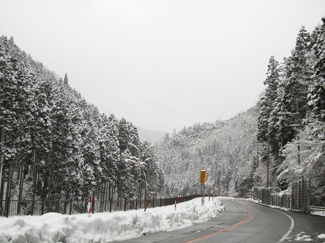 京都の山で雪遊び_b0177436_2172173.jpg