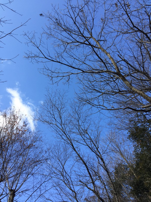 b0057140_0381256.jpg
