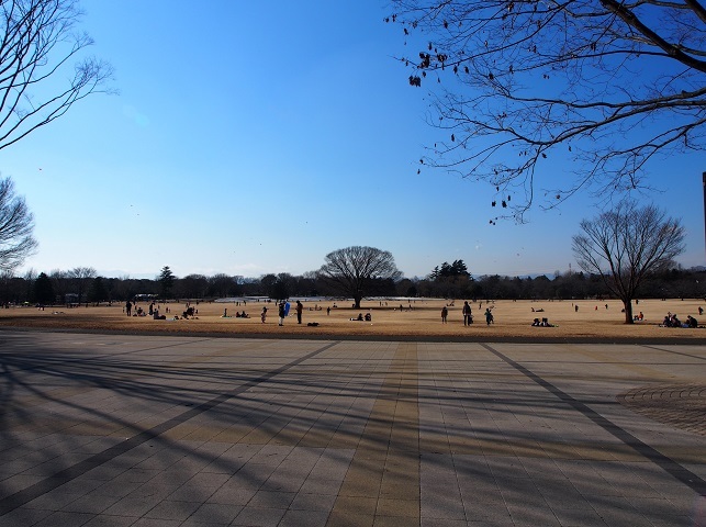 昭和記念公園　その２_e0272042_16293692.jpg