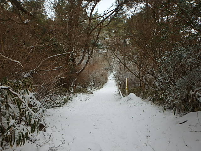 f0334143_8462988.jpg