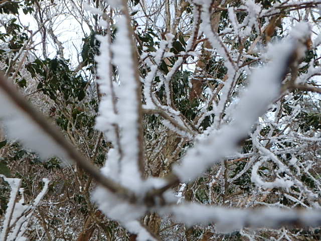 f0334143_8464189.jpg