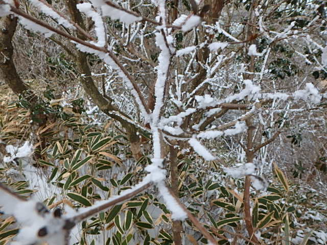f0334143_8464712.jpg