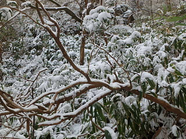 f0334143_847111.jpg