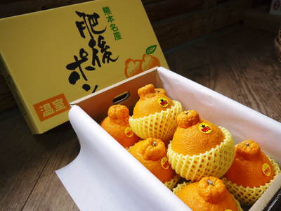 デコポン(肥後ポン) 熊本限定栽培!!樹上完熟デコポン「ひのゆたか」収穫&初出荷(後編:旨さの秘密)_a0254656_1935576.jpg