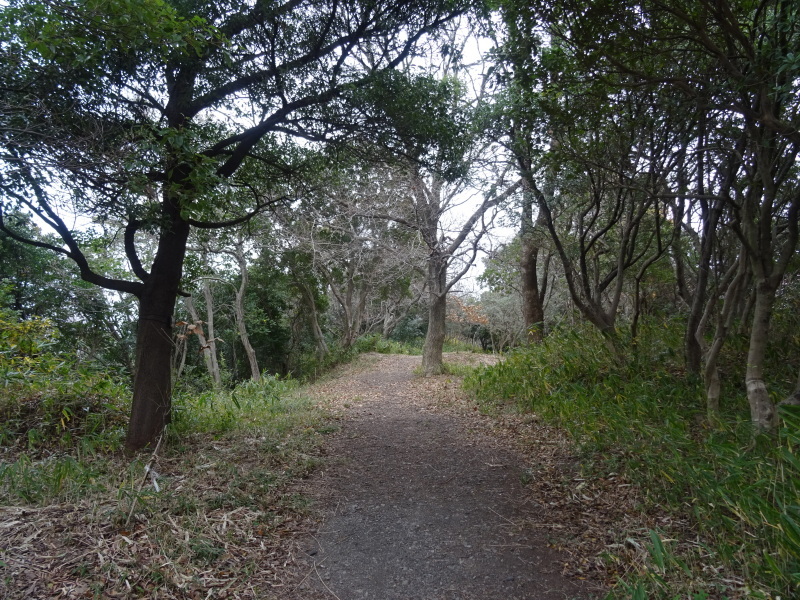 c0108460_15260998.jpg