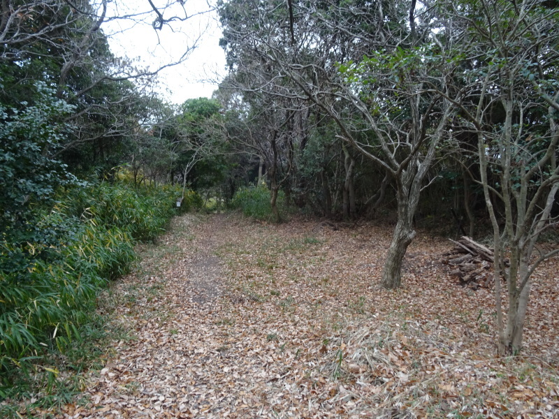 c0108460_15261182.jpg
