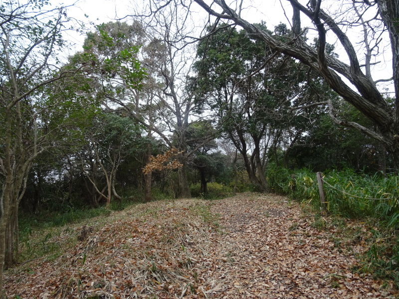c0108460_15261239.jpg