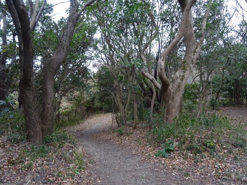 c0108460_15261462.jpg