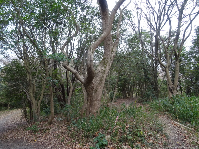 c0108460_15261528.jpg