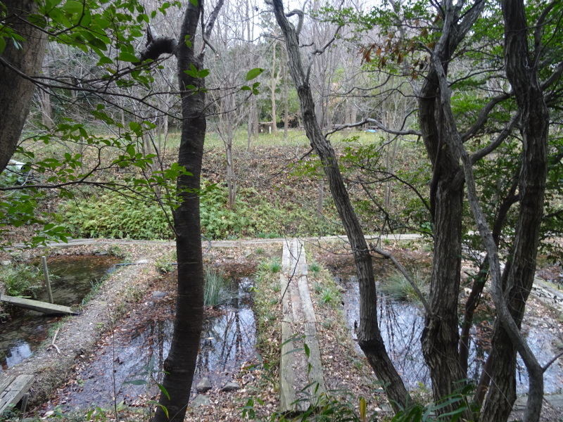 c0108460_15261718.jpg