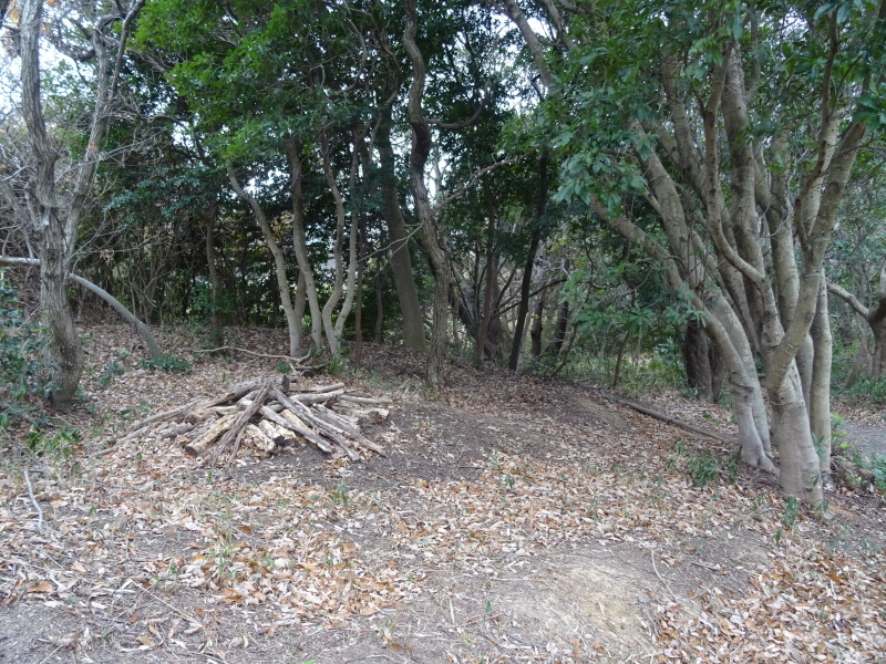 c0108460_15262261.jpg