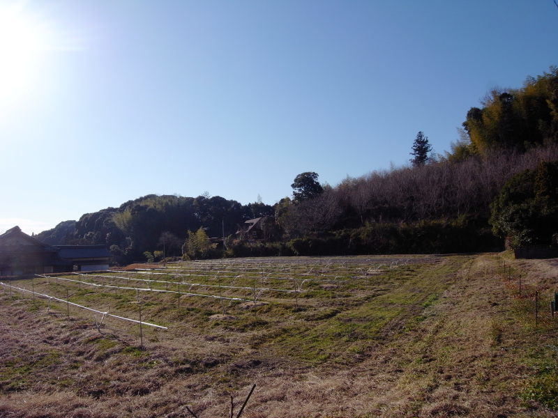 心地晴れ_b0339572_20510367.jpg