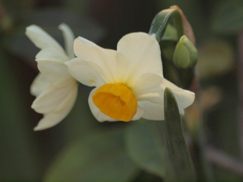 d0054276_2031023.jpg