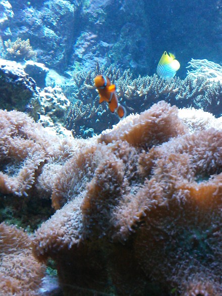 f0172281_1438484.jpg