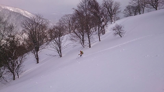 郡上白鳥蓮原川から西山1359mパウダー_e0064783_22163670.jpg