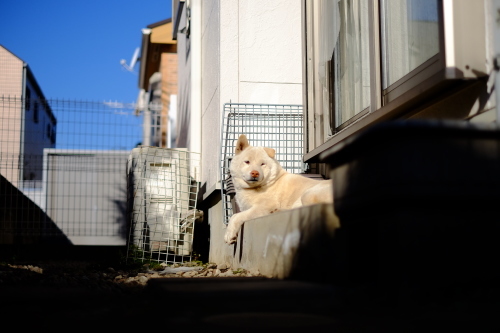 今日のお友達。_a0329784_20122695.jpg