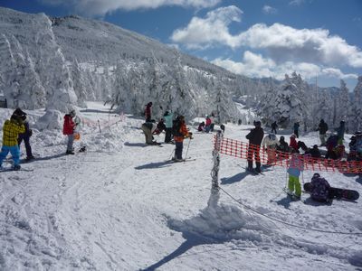 b0035391_11483354.jpg
