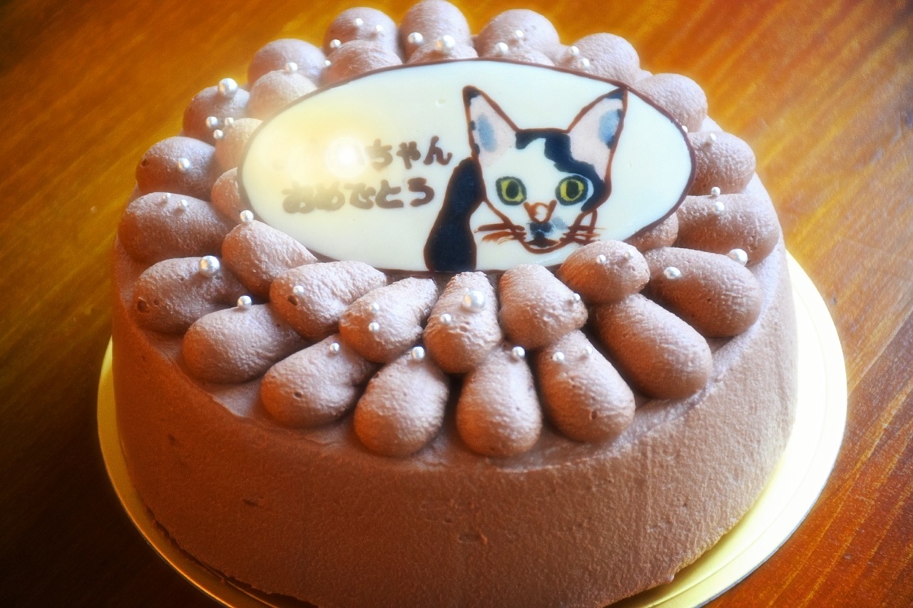 猫プレートのバースデーチョコレートケーキ_b0316093_21152321.jpg