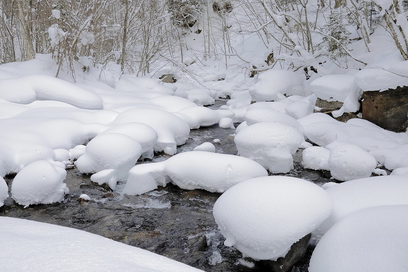 雪景色の日光澤温泉　　　2015.1.10(土)～11(日)_c0213096_16555820.jpg