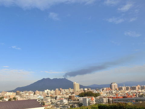 桜島、猫、桜島_d0257697_18363588.jpg