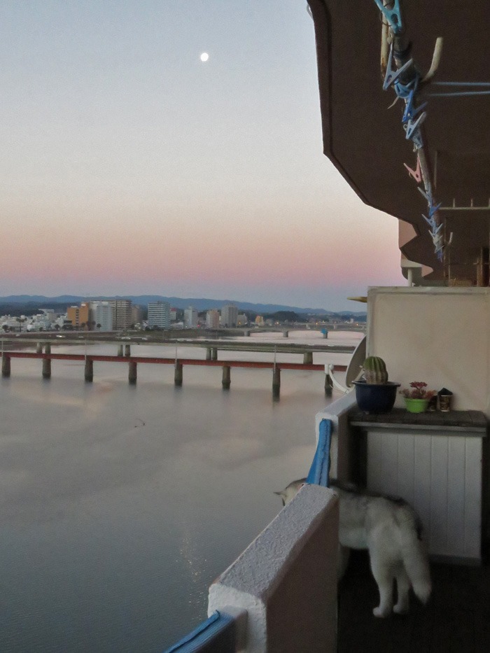 c0049299_18335319.jpg