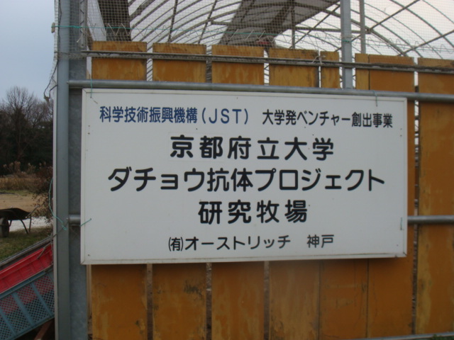 a0019212_2330347.jpg