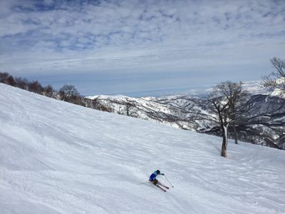 c0105120_1744415.jpg