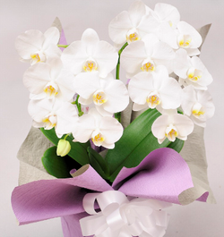 b0168830_124236.png