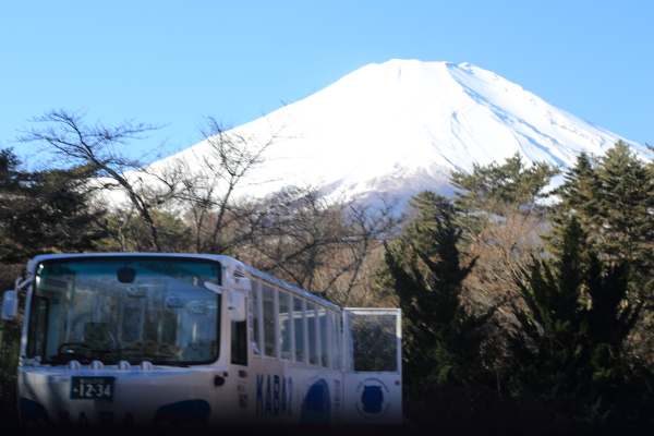 鉄道旅（御殿場～河口湖～甲府）その２_f0229832_8343740.jpg