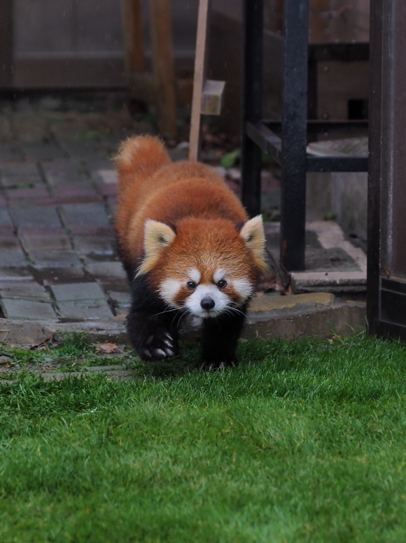 a0149740_02861.jpg