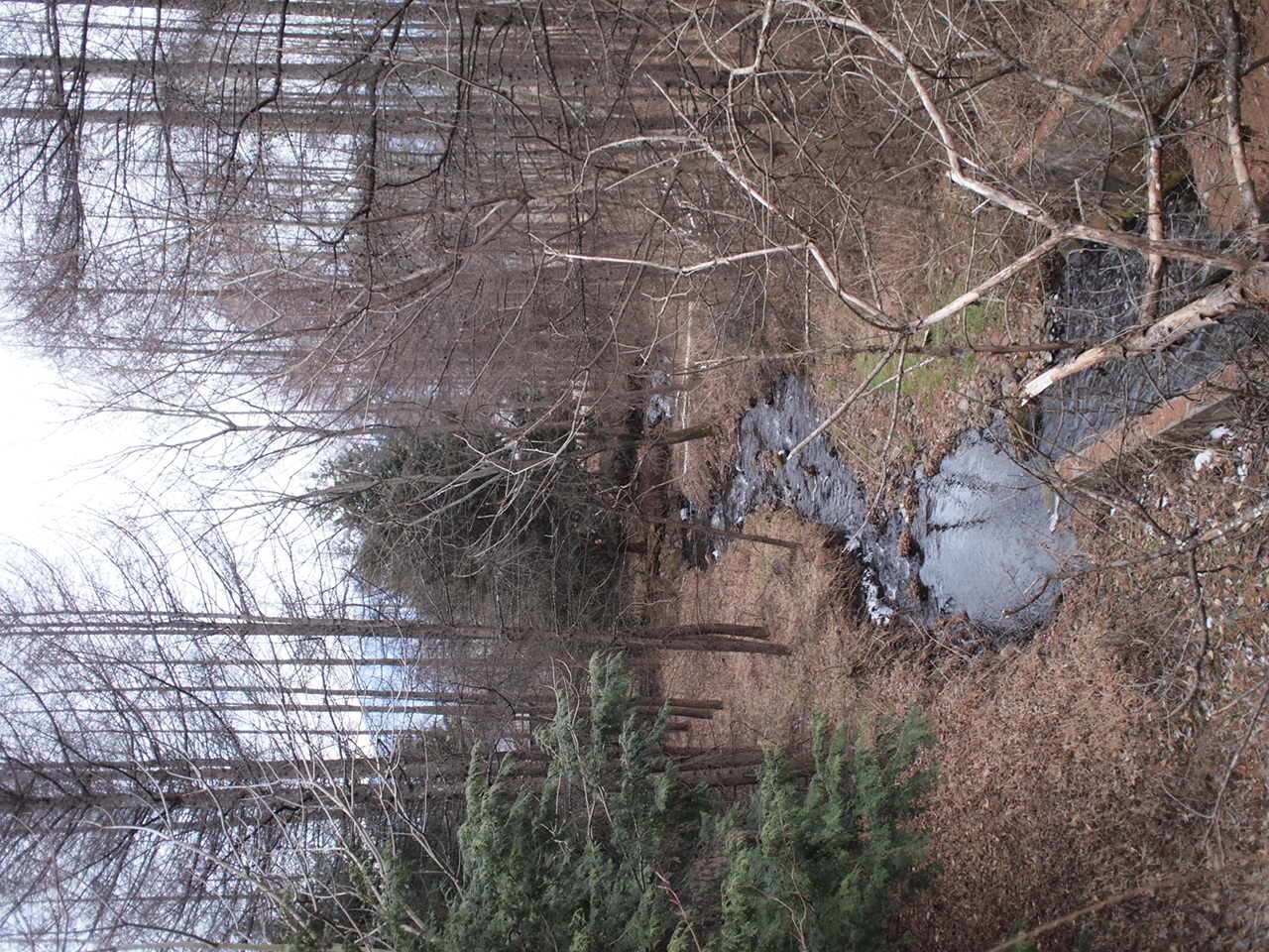a0299945_17371885.jpg