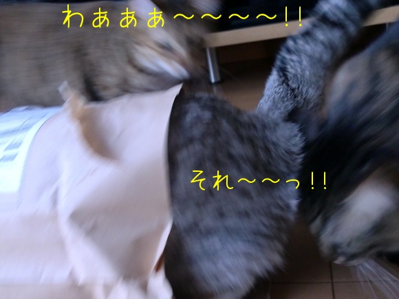 c0259945_16313587.jpg