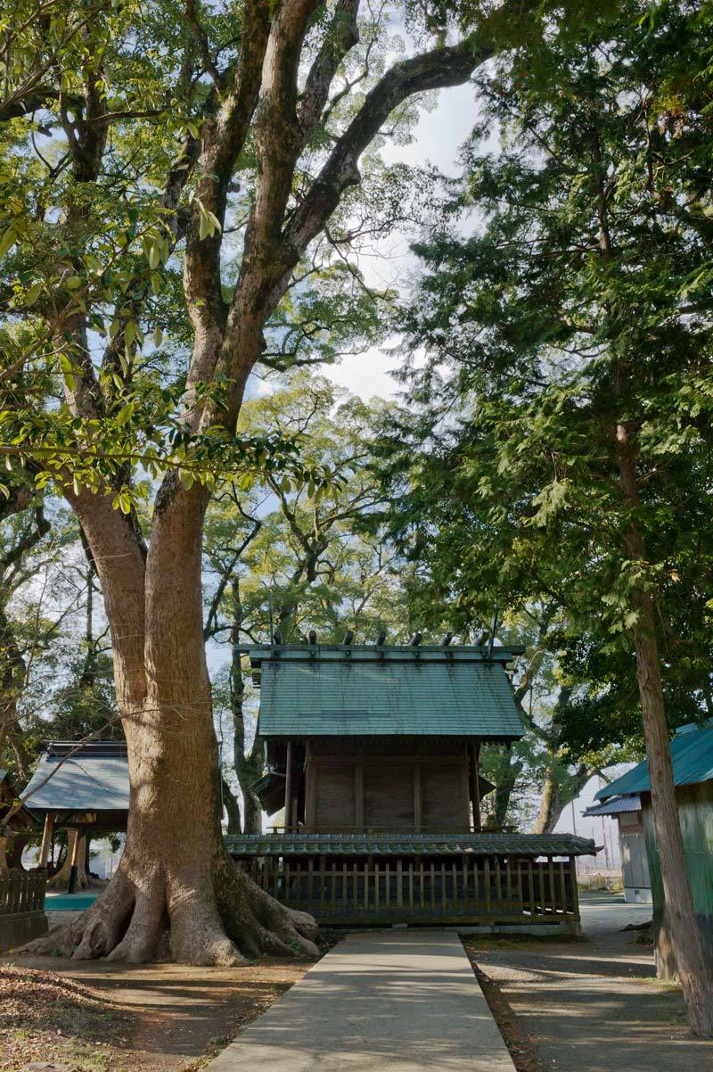 太祖神社　下宮　２　福岡県糟屋郡篠栗町若杉_b0023047_06121659.jpg