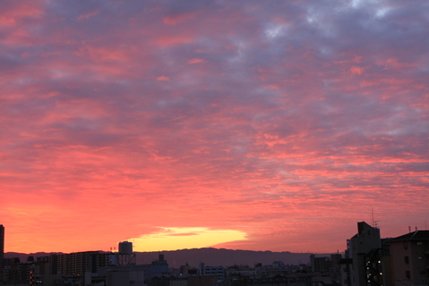 c0193648_2316976.jpg