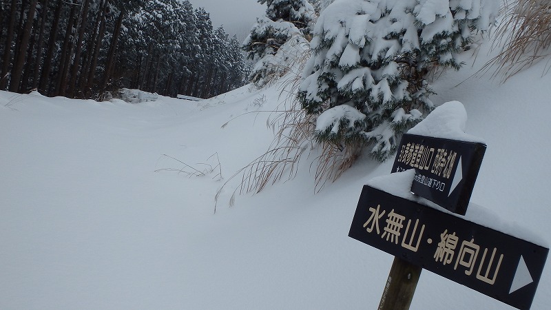 c0097754_21573921.jpg