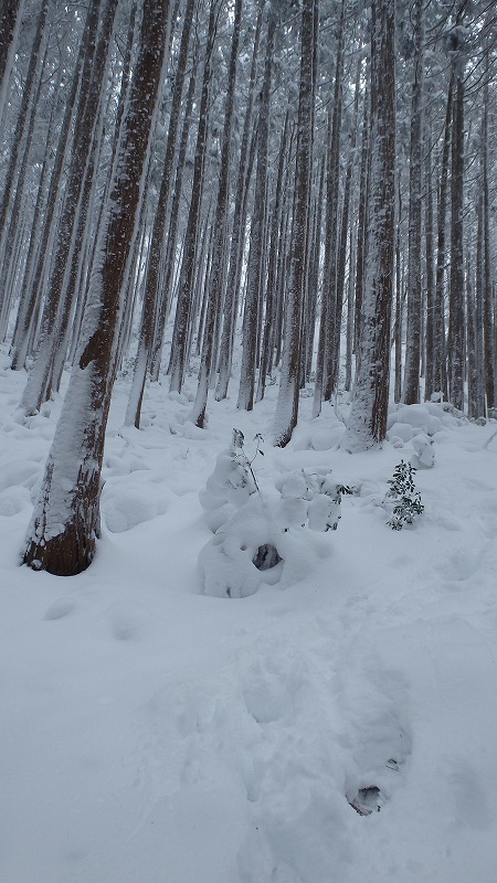 c0097754_21591164.jpg