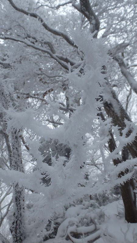 c0097754_2203350.jpg