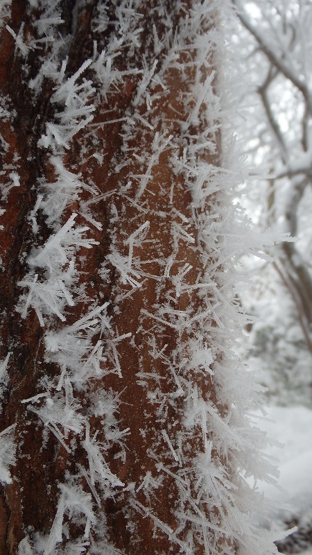 c0097754_2215515.jpg