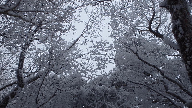 c0097754_2222491.jpg