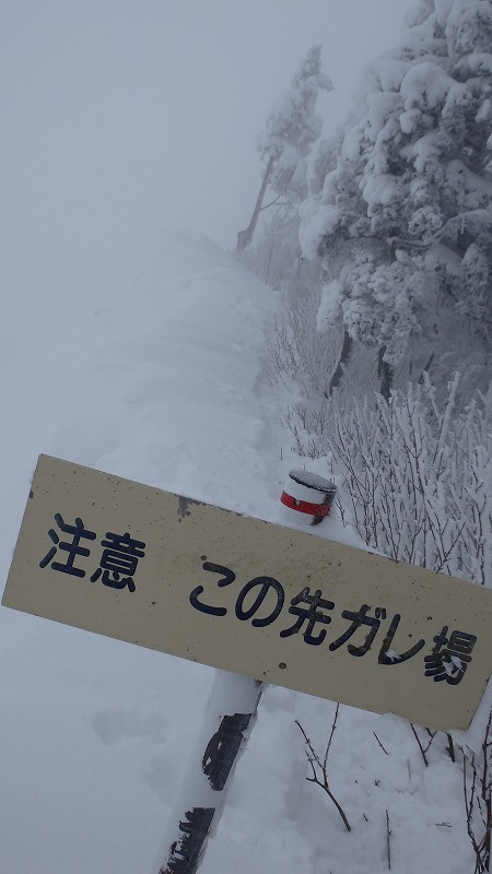 c0097754_2242391.jpg