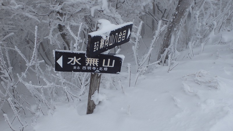 c0097754_2245699.jpg