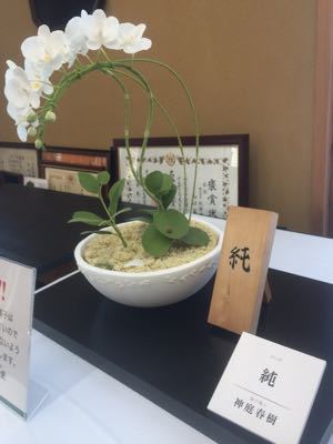 出雲大社行ってきました_f0009169_11363439.jpg