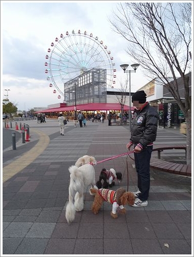 寄り道 刈谷ハイウェイオアシス うちにかえろう 寄り道 刈谷ハイウェイオアシス うちにかえろう